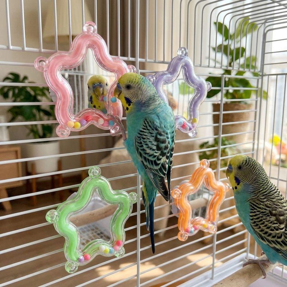 Colorful Beads Star Rotating Parrot Mirror Toy Climb Bite Chew Wear-Resisting Bead Parrot Chew Spinning Toy Wavy Flower Star