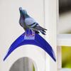 Pigeon Perch Stand, Plastic Pigeon Habitat Bracket, Durable & Lightweight, Weather-Resistant, Easy To Install