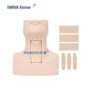 XINMAN Advanced Cricothyroidotomy & Tracheal Intubation Training Model