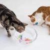 Cat Toy LED Sensing Interactive Swimming Robot Mermaid Toy Glowing Electric Fish Kitten Hunting Instinct Pet Supplies