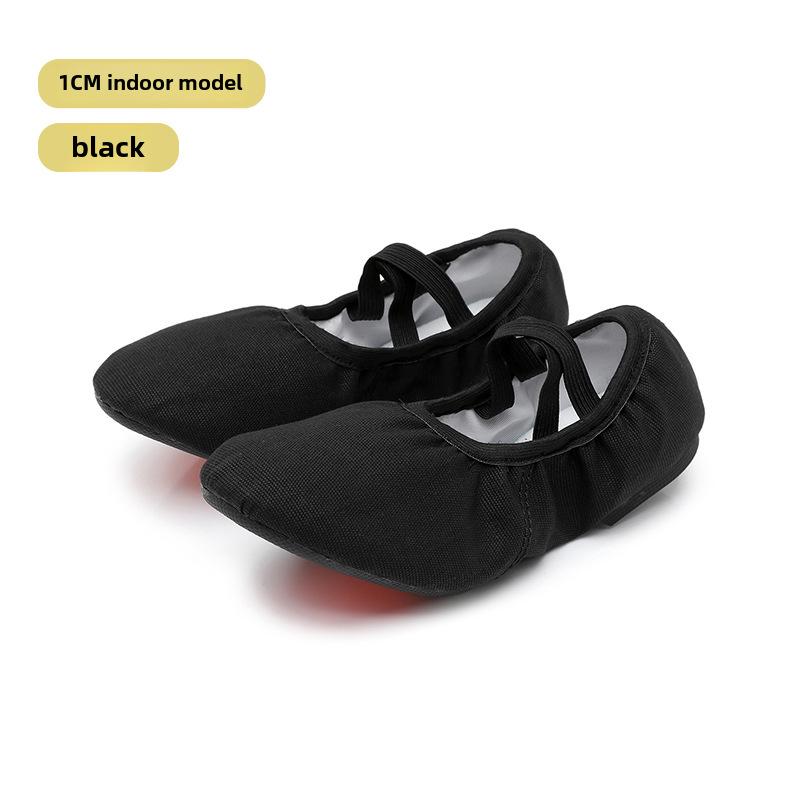 Women's Heeled Dance Shoes - Adult Ballet - Soft Leather Sole - Indoor/Outdoor - Lace-Free - Teacher Approved