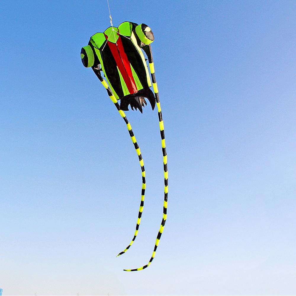 3D Kite for Kids and Adults Huge Frameless Soft Parafoil Kite with 30m String for Beach Family Trip Outdoor Games