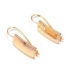 Elegant Rose Gold Glossy Korean Ear Hook Earrings - European and American Fashion Accessories