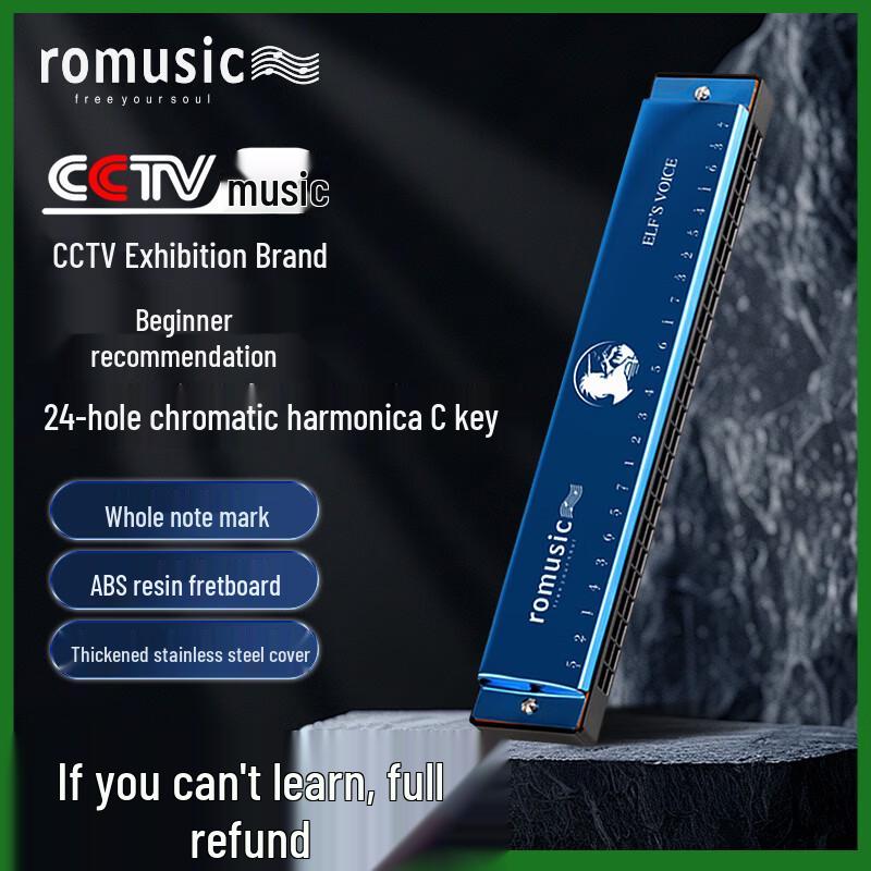 Romusic 24-Hole Polyphonic Harmonica for Beginners