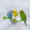 Plastic Swing Perch Toy Simulation Bird Parrot Play Rack Bird Cage Toy  for Bird Cage Aviary