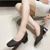 Pointed Toe French Style Thick Heel Professional Elegant Low Heels Shoe Autumn 2024 New Spring Women's Luxury Shoes 42