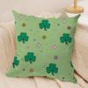 St Patricks Day Cute Cushion Cover Soft Plush Throw Pillow Cover  DoubleSided Printed Cushion Case  Cozy Sofa  Home Decor