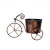 Tricycle Planter with Flower Pot Outdoor Retro for Windowsill
