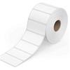 True-Ally 50X25 Direct Thermal Barco De Label Sticker - 2 X 1 Inches - 50Mm X 25Mm - 1000 Labels Per Roll - White Self A