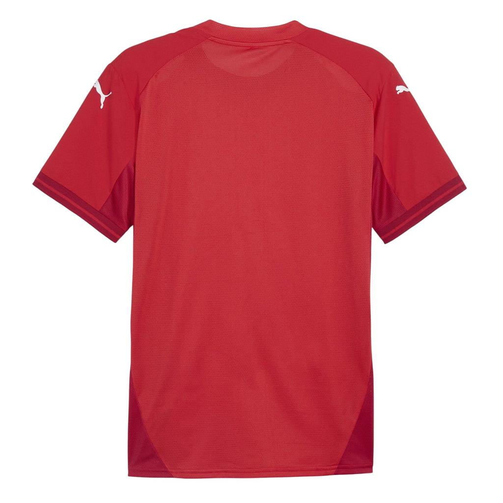 Puma Mens TeamFinal Jersey T-Shirt