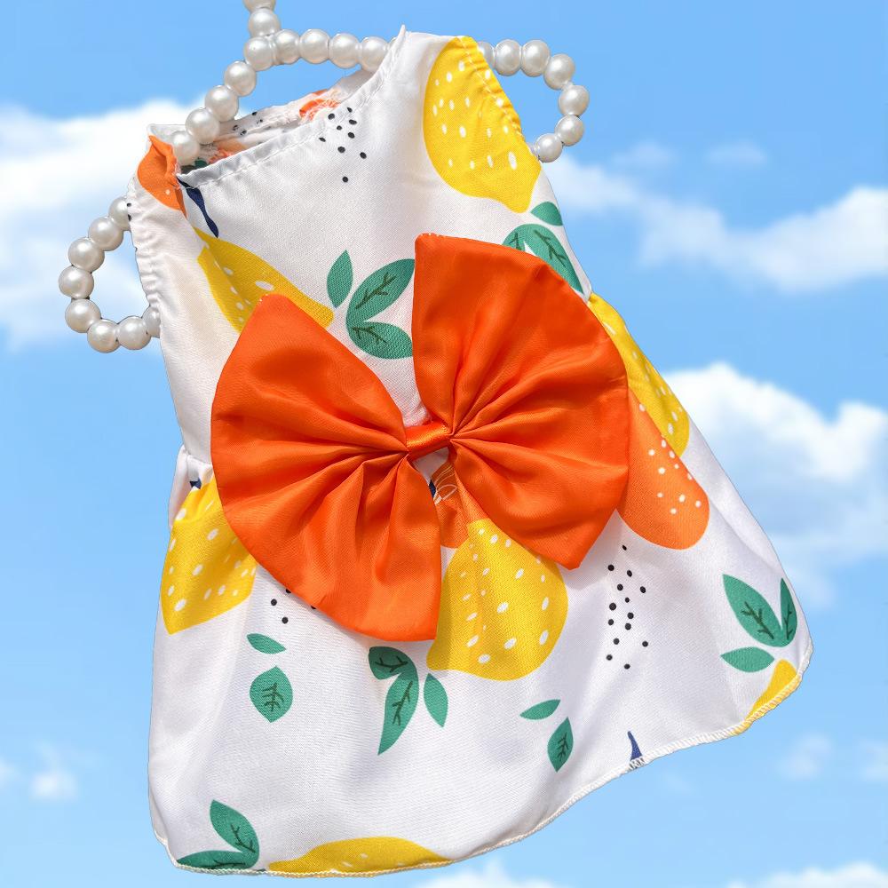 Spring/Summer Dog Skirt Cat Pet Clothing Teddy Dou Bi Bear Cat Supplies Dog Clothing Clothing