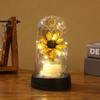 Creative sunflower gift ornament, home decoration night light immortal flower sunflower plastic cover black base