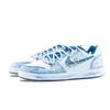 Nike EBERNON Deep Sea Secret Realm Abrasion Resistant Low top Skateboard Shoes Men's White Blue IF0847-141(Team626-)