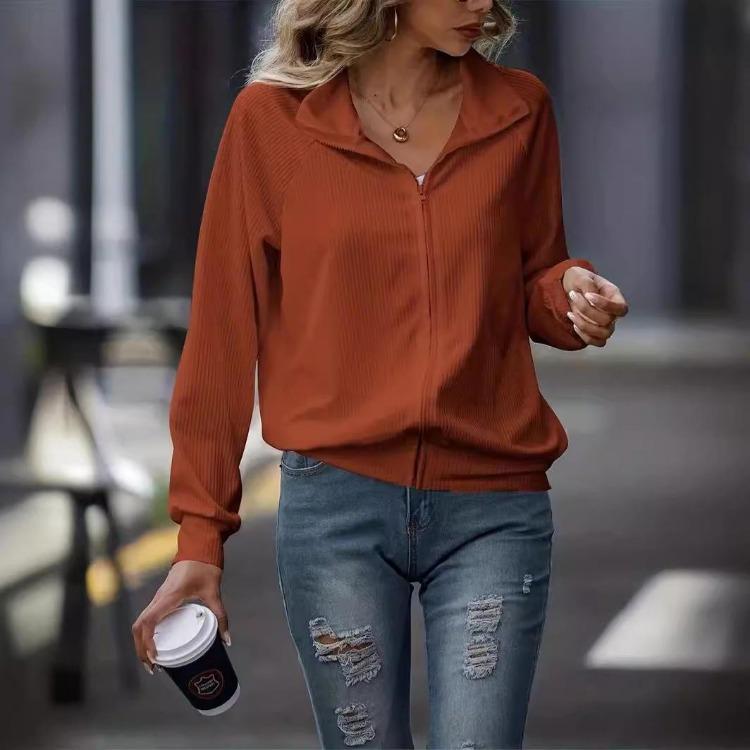 Women's Loose Fit Knitted Jacket Long Sleeve Solid Color Casual Autumn Winter Zipper Design Versatile