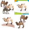 Desert Animal Pvc Figurine Twin Hump Camel Static Decor For Children Learning Play