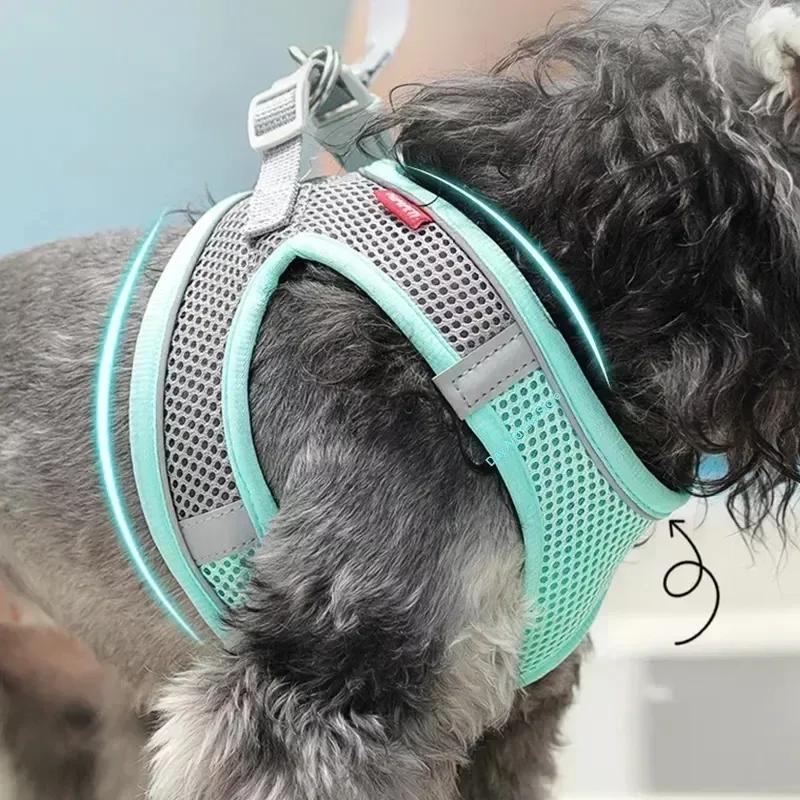 Puppy Harness Set Dog Accessories Adjustable Puppy and Cat Harness Vest French Bulldog Chihuahua Small Dog Collar Pet rope