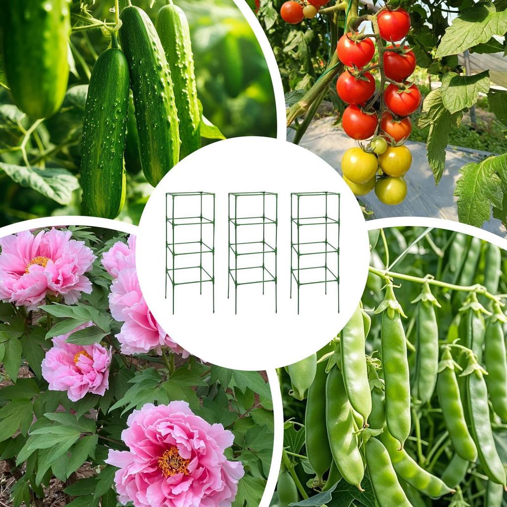 Tomato Trellis for Garden Planter Pots 3 Piece Heavy-Duty Rack for Climbing Vegetables Fruit Beans Peony Rose Flower Tomato Cage