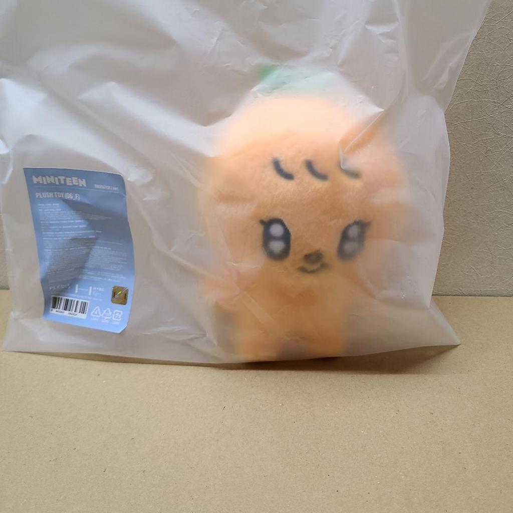 [USED] MINITEEN Seungkwan Plush Toy Pugyuri Miniteen