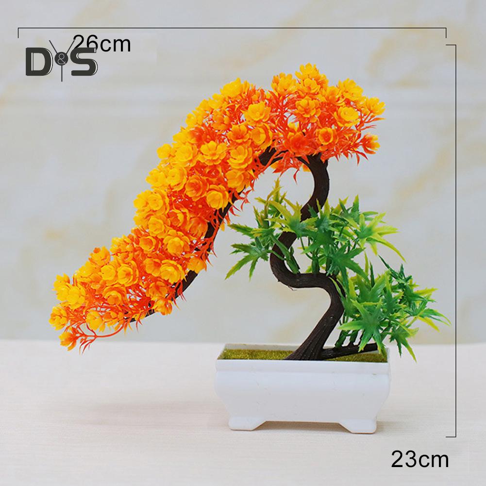 Buchet înflorit, flori, plantă, copac, bonsai, birou, grădină, petrecere, ornament de birou