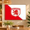 5D Diamond Painting Middlesbrough FC DIY Full Drill Diamond Art Kit Home Decoration
