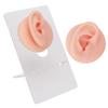 Ear Model Soft Silicone High Simulation Clear Structure Human Ear Model for Piercing Practice Light Skin Color