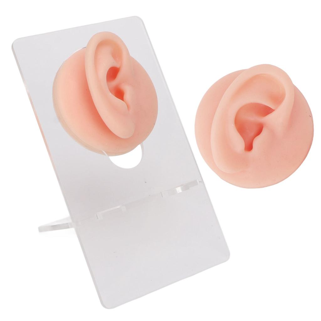 Ear Model Soft Silicone High Simulation Clear Structure Human Ear Model for Piercing Practice Light Skin Color