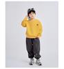 2025 Autumn Stylish Boys' Layered Two-Piece Spliced Sweatshirt T-Shirt, Long Sleeve Casual Top