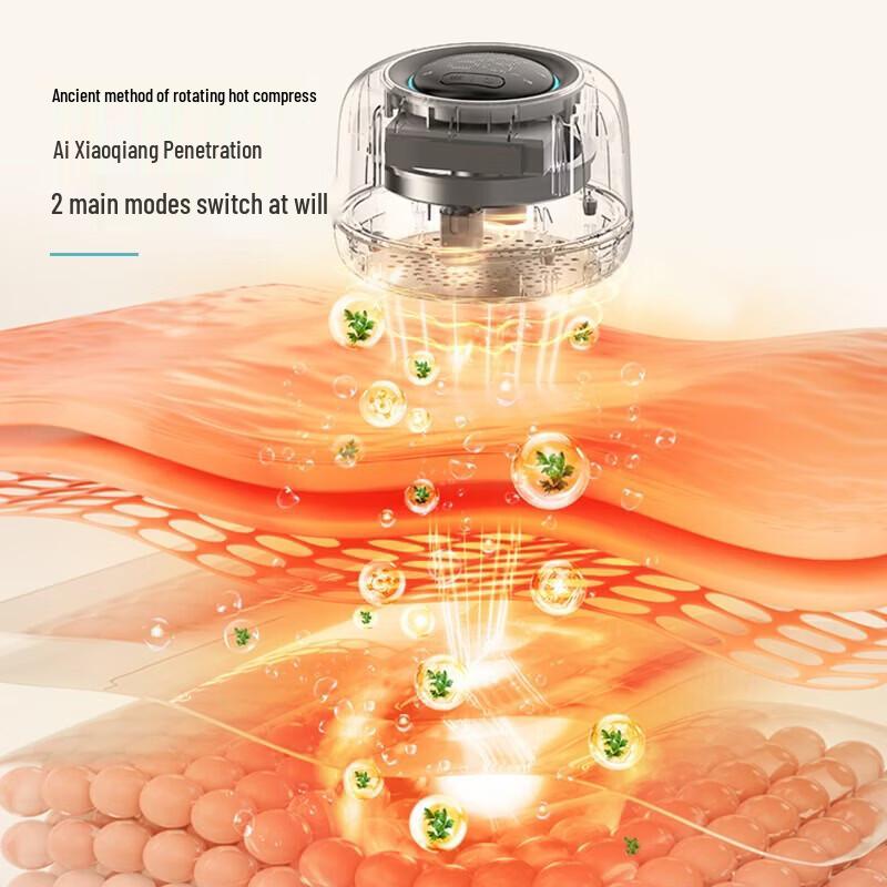 Philips Smart Wormwood Moxibustion & Hot Compress Massager CN plug (adapter included)