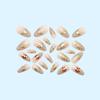 Elegant French Manicure Cat Eye Petal Series Medium-Long Oval Press-on Nails