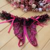 Erotic Panties  Lingerie Temptation Embroidery Transparent Thong Lace Bow Low Waist Erotic Underwear for Sex Ladies G-string