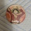One Piece Can Badge