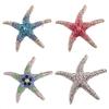 Fashion Starfish Brooch Pin Pendant Brooches for Women