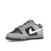Nike Dunk Low Light Smoke Grey Anthracite Unisex Sneakers HV2532-001