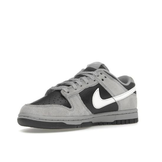 Nike Dunk Low Light Smoke Grey Anthracite Unisex Sneakers HV2532-001