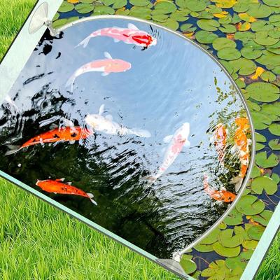 Aquarium Floating Plant Corral Floating Plant Fence Fish Feeding Rings for Fishtanks Househould Fishtank Supplies