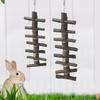 Pet Wooden Tooth Grinding Toys for Rabbits Hamster Chinchilla Small Animals Teeth Chewing Toys Natural Apple Wooden Molar Rod