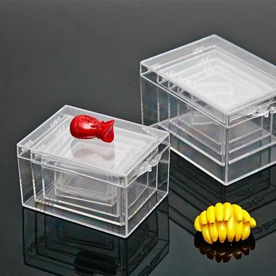 Caja de Almacenamiento de Plástico Transparente Premium para Especímenes de Insectos Contenedor de Escritorio