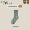 5 Pairs of Women's Autumn and Winter Fashion New Drum Pile Socks