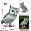 Children's Cognitive Simulation Bird Perch: Garden Craft Ornament for Magpies, Parrots, Lovebirds