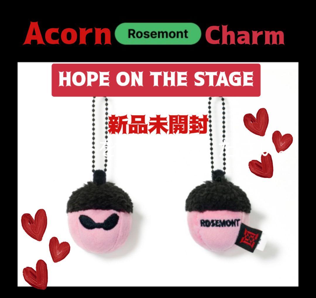 

[USED] HOPE ON THE STAGE Acorn Charm ROSEMONT Acorn