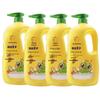 Frog Prince Kids' Body Wash - Grapefruit Scented