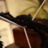 Halloween Spider Decoration with Nets 4 Pcs Black and White