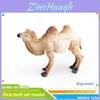 Realistic Animal Figures Pvc Camel Giraffe Kids Educational Toys Safari Wildlife Decorations For Children