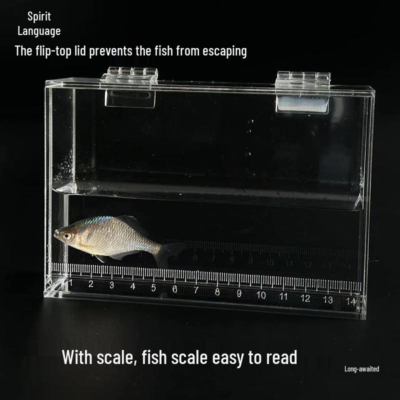 Acrylic Fish Observation Box with Scale and Lid - Portable Transparent Photography Container