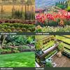 Lawn Sprinkler Automatic Garden Water Sprinklers Irrigation System Large Area Coverage Rotation 360° Watering Irrigation Supply