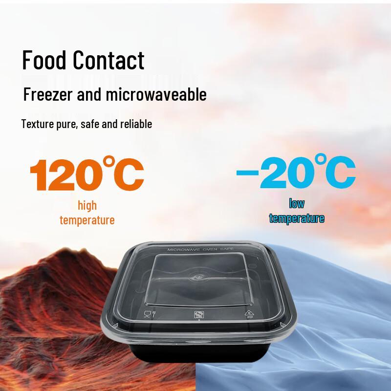 WEISHENG 750ml Square Disposable Takeout Containers