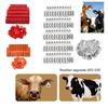 100Pcs Identification Cow Ear Tag Card Farm Equipment Pig Sheep Ear Sign Cattle Ear Marker  Farm Use