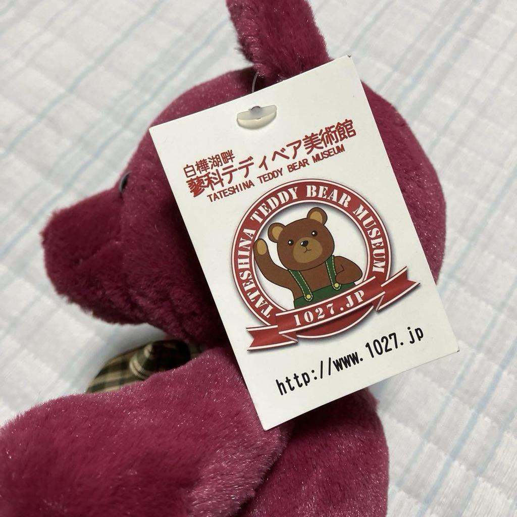 [USED] Rare Tateshina Teddy Bear Museum Red Teddy Bear