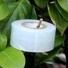200m PE Grafting Tape Film Self-adhesive for Fruit Tree Nursery Plants Seedlings Vine Floristry Tomato Grafting Supplies Stretch