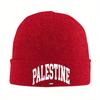New Palestine Flag Beanie Hats Funny Caps Adult Unisex Outdoor Skullies Beanies Autumn Printed Warm Soft Beanie Hat